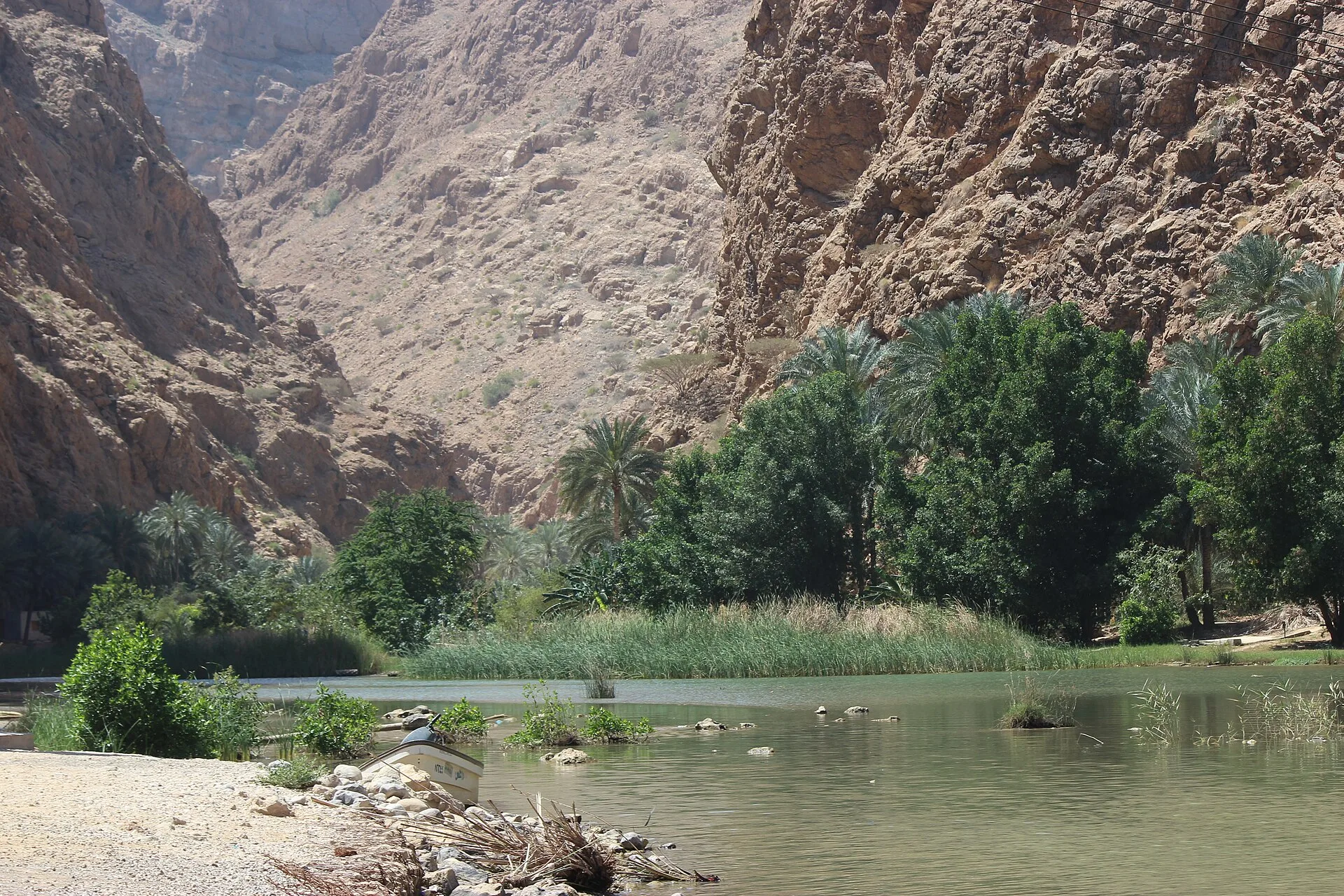 Jour 3 : Mascate → wadis de la côte → Sur (~220 km)