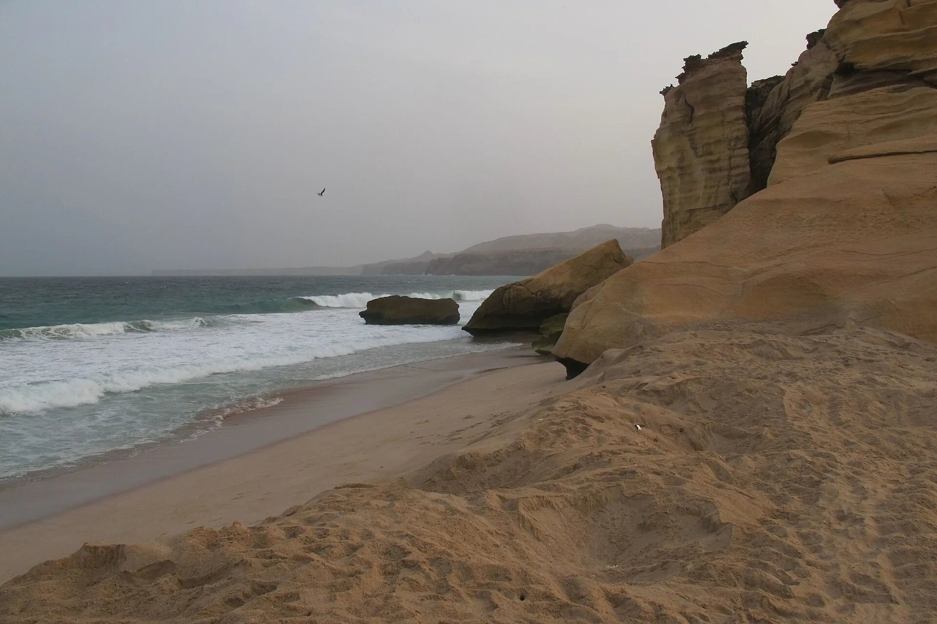 Jour 4 : Sur et les tortues de Ras al Jinz