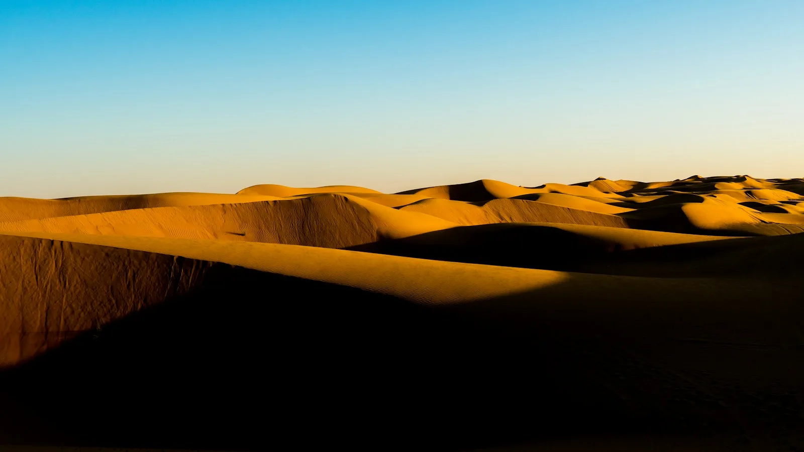 Jour 5 : Sur → désert de Wahiba Sands (150 km)