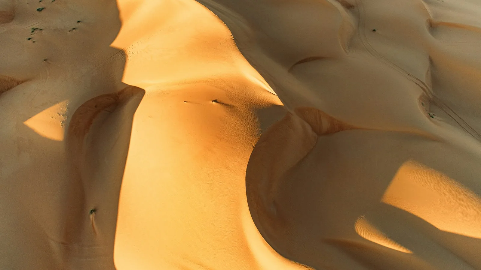 Dunes dorées du désert de Wahiba Sands à Oman, étape d'un itinéraire en famille