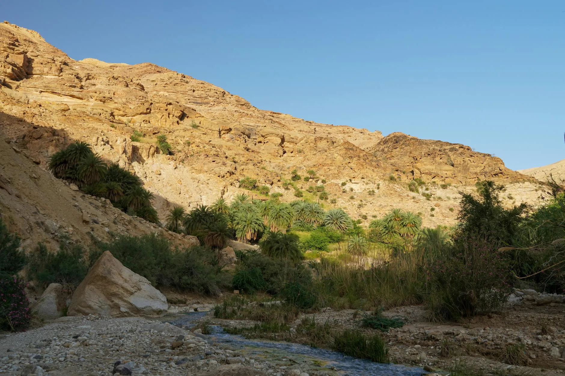 Wadi Bani Khalid — L'oasis